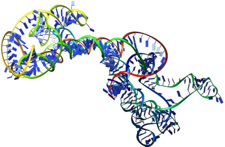 Prediction of 3D Structure (Folding) of a RNA Sequence