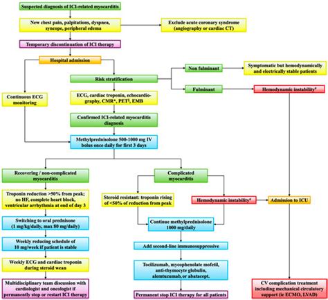Navigating Cardiotoxicity in Immune Checkpoint Inhibitors: From ...