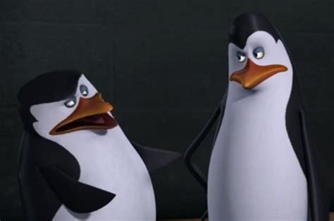 Kowalski/Relationships | Penguins of Madagascar Wikia | FANDOM powered ...