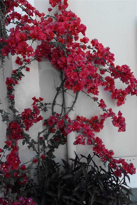 ABBRACCIA MORFEO (Rome) - B&B Reviews, Photos, Rate Comparison ...