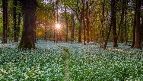 Dr. Pao – Eye Associates of Lancaster, Ltd.