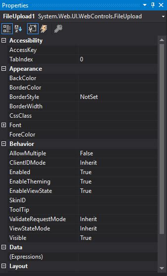 Image result for How to Load System Folder File in Webpage Using Asp.net in Window Form