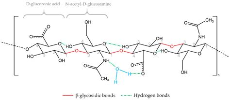 Hyaluronic Acid: A Key Ingredient in the Therapy of Inflammation