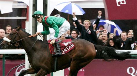 Zarak, the first foal of the brilliant race mare Zarkava, quoted for ...