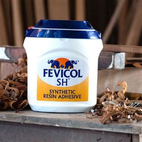 Pidilite Fevicol Synthetic Resin Adhesive (5 KG) - Pack Of 1 Adhesive ...