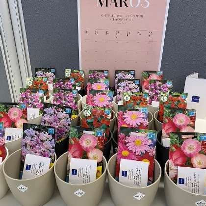 Glory Global Solutions Office Photos | Glassdoor