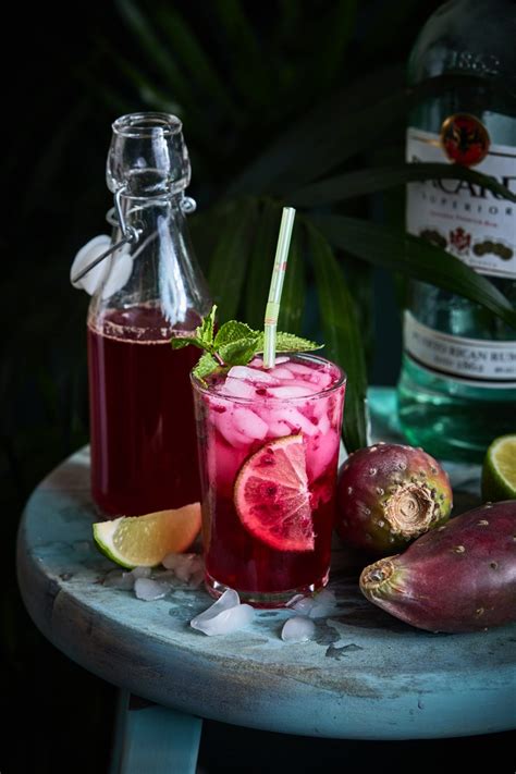 10+ Prickly Pear Recipes You Have to Try » LeelaLicious