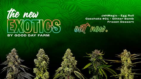 GOOD DAY FARM - Bossier City | Dispensary Menu, Reviews & Photos