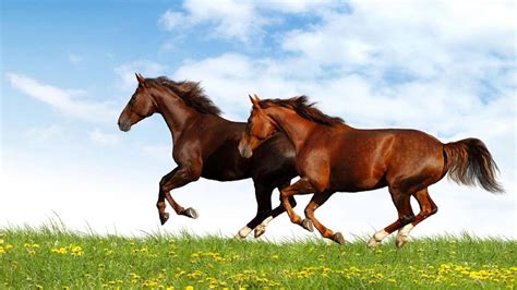 Image result for Computer Science Class 12 Chapter 1