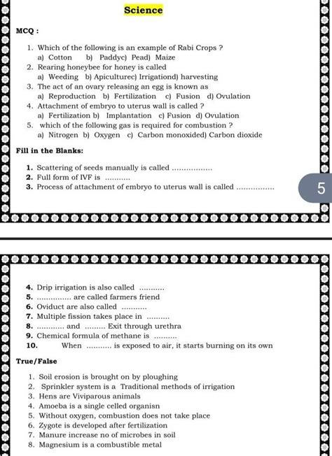 Image result for Brainilis Questions