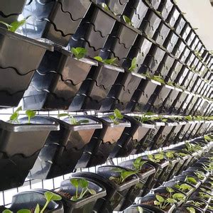 shree parshva Black hook pot Plant Container Set Price in India - Buy ...