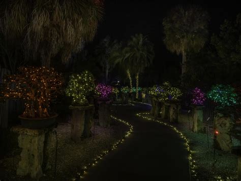Heathcote Botanical Gardens- Green Heart of the Treasure Coast