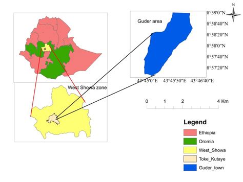 Full Text | Publications | Stechnolock: Plant Biology and Research ...