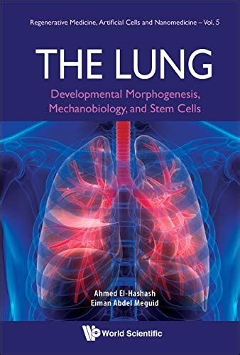 Buy Lung, The: Developmental Morphogenesis, Mechanobiology, And Stem ...