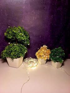 JNVDesign 100 LEDs 10 m White Color Changing Welcome Rice Lights Price ...