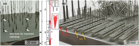 Characterization of Filigree Additively Manufactured NiTi Structures ...