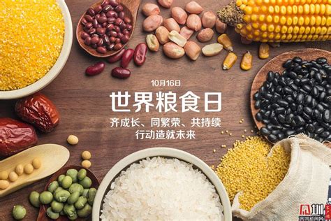 世界粮食日：10个粮食冷知识话你知！_深圳新闻网