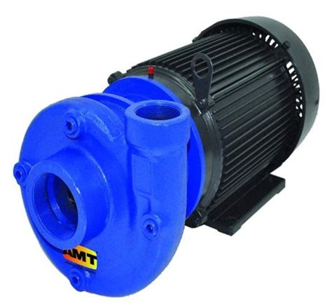 Buy AMT Pump 315A-98 Heavy Duty Straight Centrifugal Pump, Stainless ...