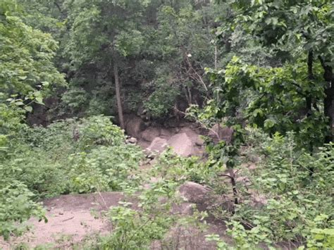 Entire family dies after car plunges into stream in Anuppur: Bodies of ...