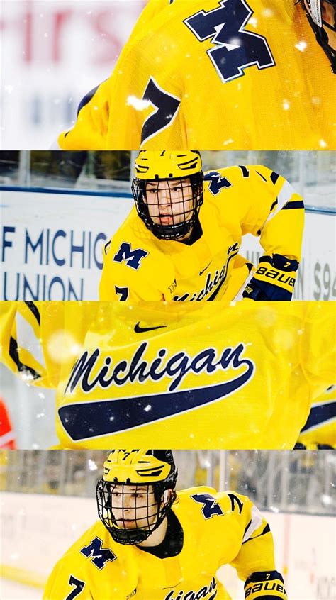 Michigan Hockey 的图像结果