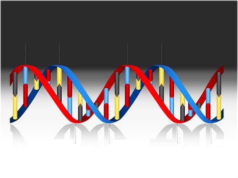 DNA Medical Helix PPT Backgrounds, DNA Medical Helix ppt photos, DNA ...