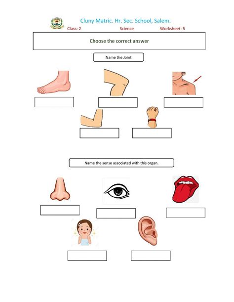 Image result for Class 2 Science