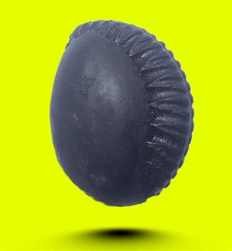 Buy GangTarang Sudarshan Shaligram Nepal Gandaki River Chakra Saligram ...