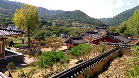 Daegu Tourism (2024): All You Need to Know Before You Go