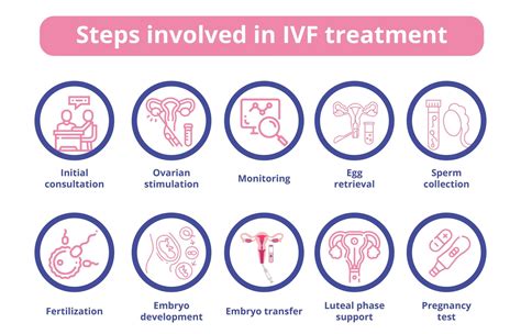IVF Treatment: Everything You Need to Know | Birla Fertility & IVF