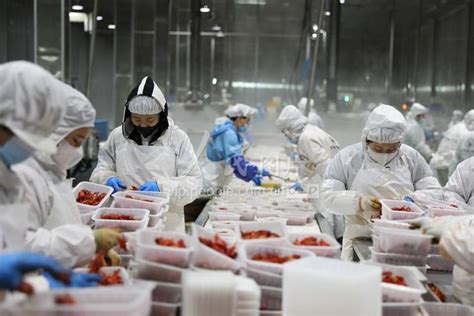 江西彭泽：小龙虾带动大产业-人民图片网