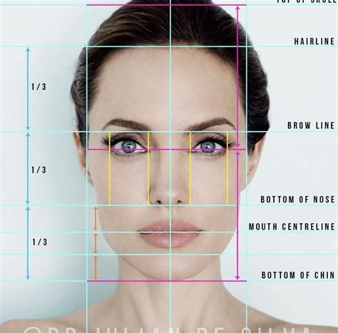 Fotografía para pestañas | Face proportions drawing, Face proportions ...
