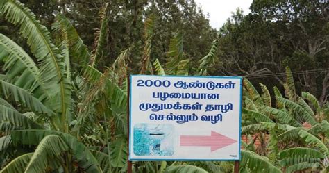 Tamilnadu Tourism: Megalithic Burial Sites, Kolli Hills