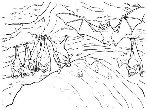 Vector hand drawn habitat bats in a cave outline illustration | Premium Vector