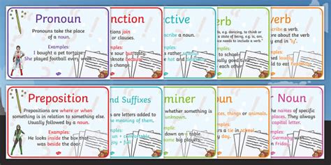 Literacy Types of Word Display Posters for NAPLAN - Twinkl