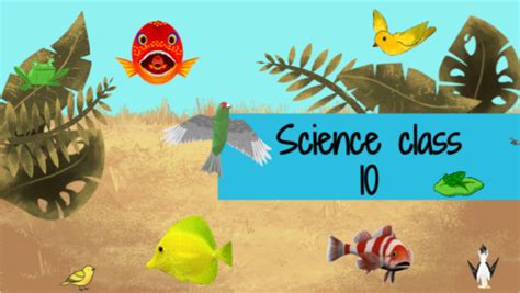 Image result for Scintific Science Models FR Class 10