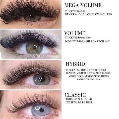 Image result for Eye Lashes Extension Types