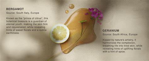 Vinci Botanicals Bergamot Geranium Hand Cleanser | Gentle Exfoliating ...