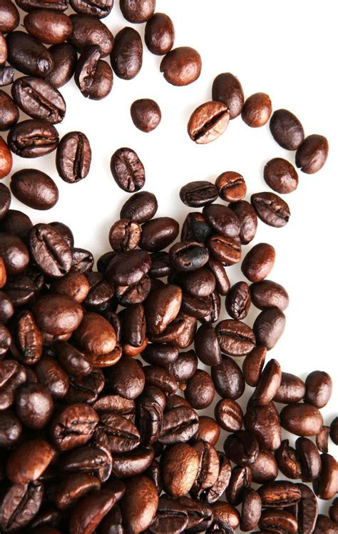 Image result for Carbonado Java