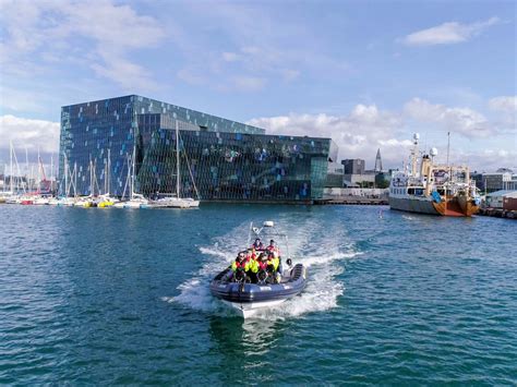 KATLA WHALE WATCHING (2025) All You Need to Know BEFORE You Go (with ...