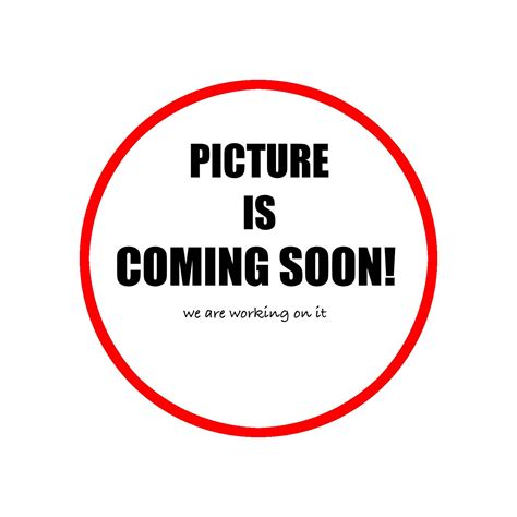 Chaco golden knee (Grammostola pulchripes) – Small Exotic Farm