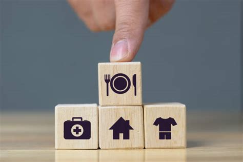 Image result for Satifying Basic Need