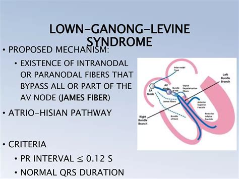 PRE EXCITATION SYNDROMES (THE WOLFF PARKINSON WHITE, LPL, MAHAIM) | PPTX