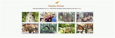 Company Overview - Dino Walk Science&Technology Inc.