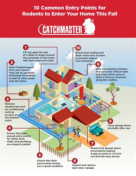 Rodent Entry Points 的图像结果