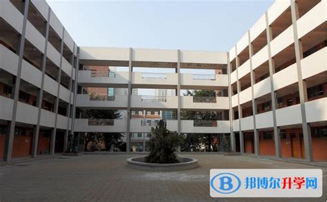 重庆市南坪中学校2023年招生代码