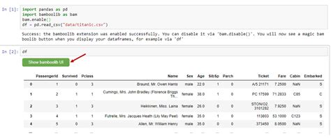 Bamboolib for Python 的图像结果