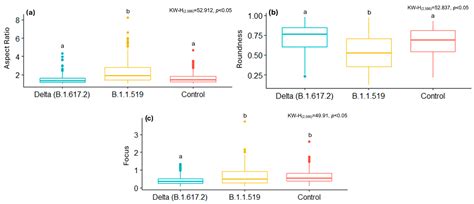 Deep Learning-Based Automatic Segmentation and Analysis of ...