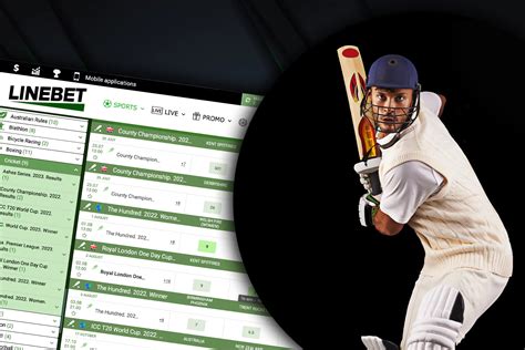 Linebet Cricket Betting - Linebet Sports