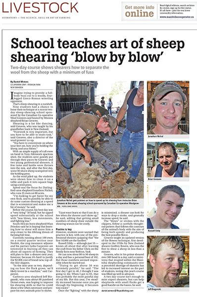 Image result for Advanced Course in Shearing Dubbo