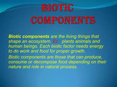 Image result for Abiotic Components Examples